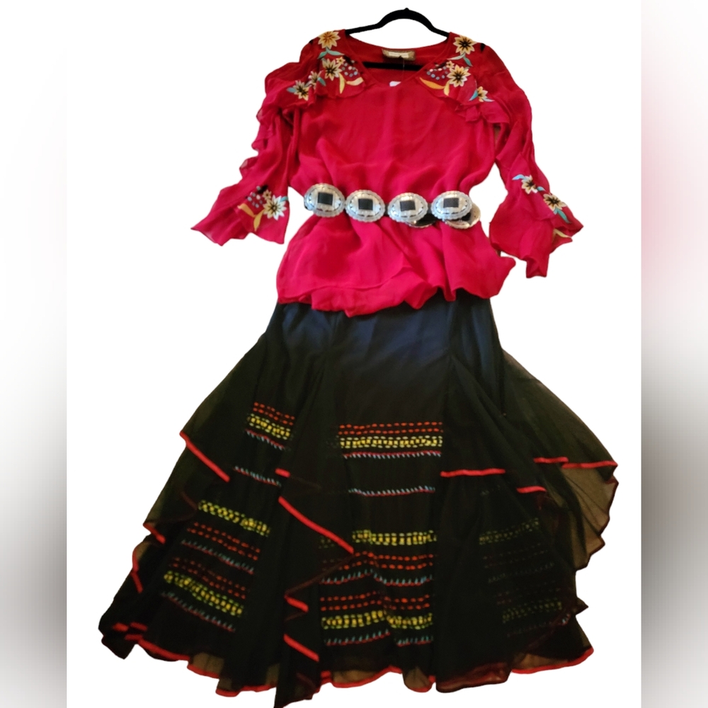 Skirt & Top Set-Gorgeous Embroidery-Sz Small-NWT